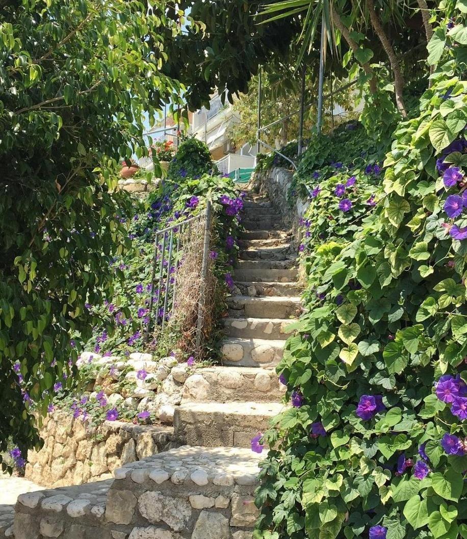 Rosa'S Beach Studios Λουρδάτα Εξωτερικό φωτογραφία